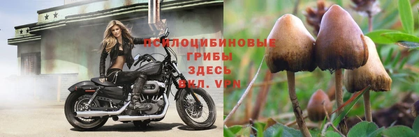 герыч Абаза