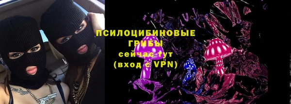 мет Протвино