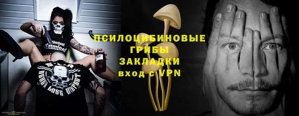 гашик Приозерск