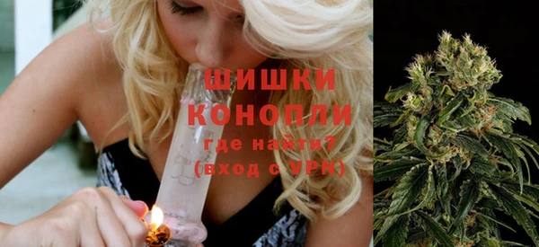 мет Протвино