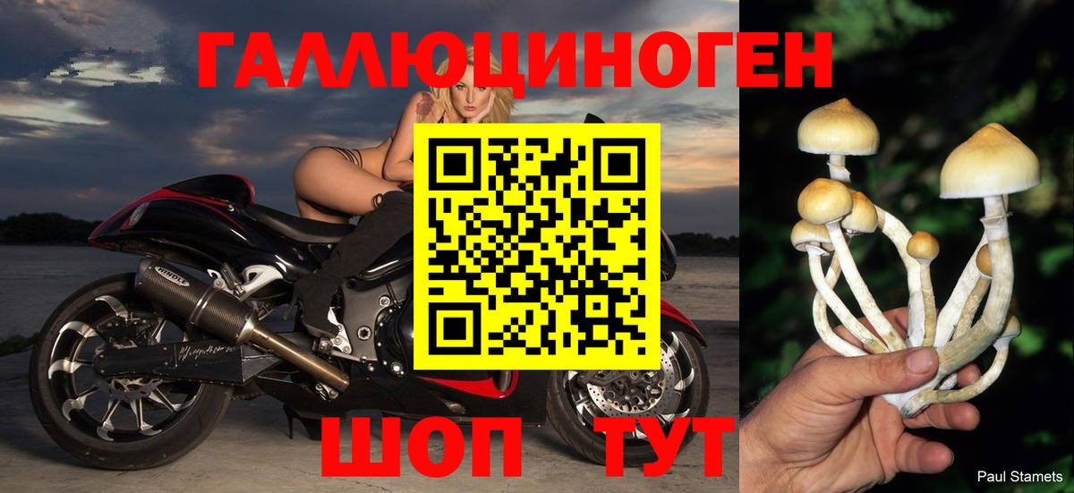 Галлюциногенные грибы MAGIC MUSHROOMS Алексин