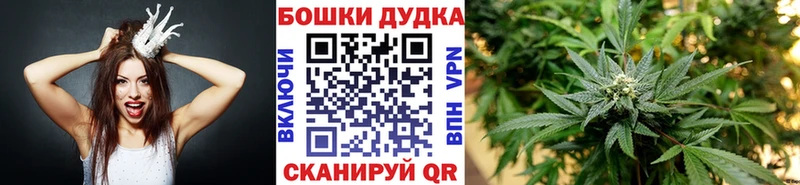 даркнет сайт  Алексин  Канабис ГИДРОПОН 